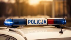 33-latek zatrzymany. 8 miesięcy za kradzież
